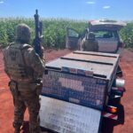 WhatsApp Image 2025-05-09 at 21.14.39