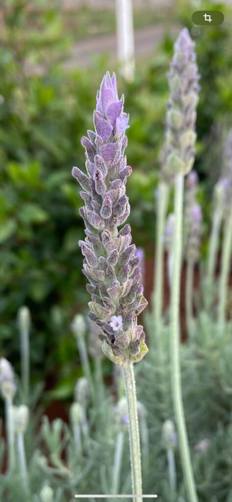 WhatsApp Image 2025-05-10 at 17.48.55