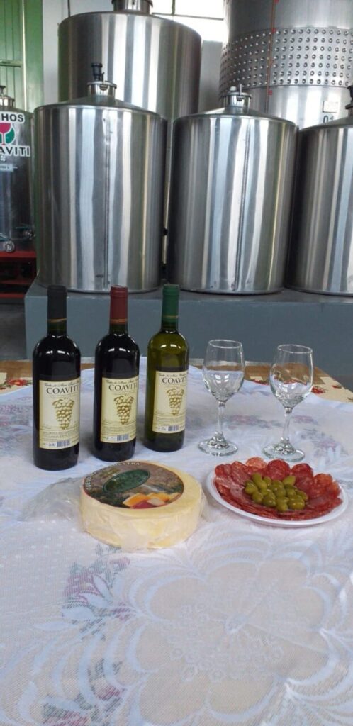 WhatsApp Image 2025-05-10 at 18.07.14