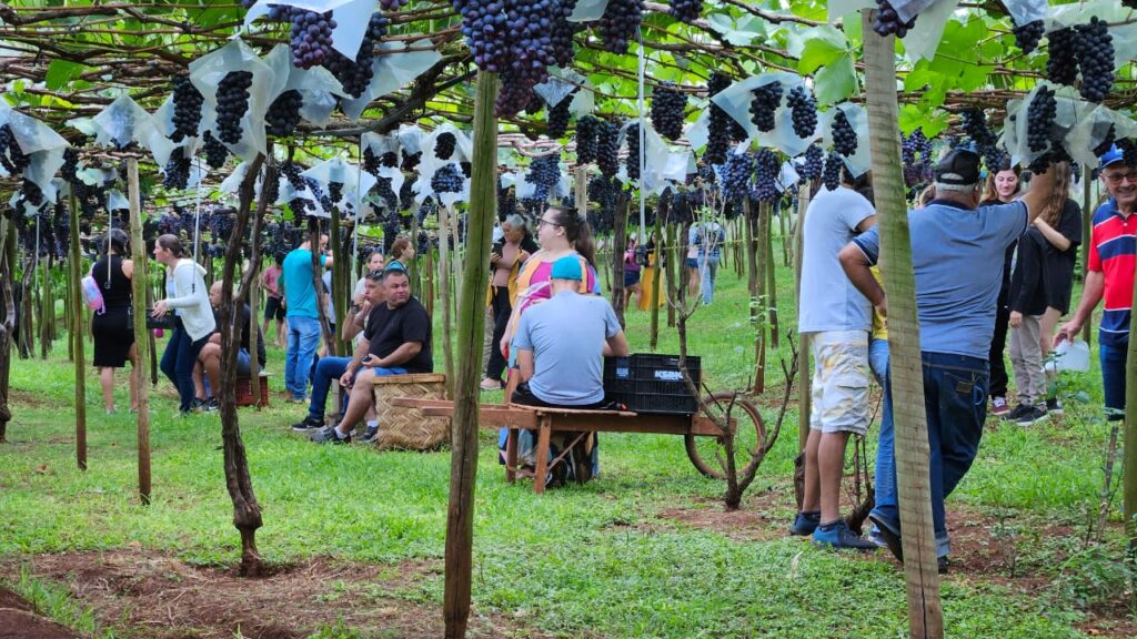 WhatsApp Image 2025-05-10 at 18.07.41