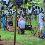 WhatsApp Image 2025-05-10 at 18.07.41