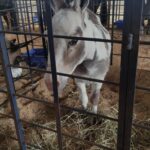 WhatsApp Image 2025-05-12 at 13.21.31