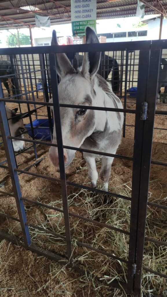 WhatsApp Image 2025-05-12 at 13.21.31