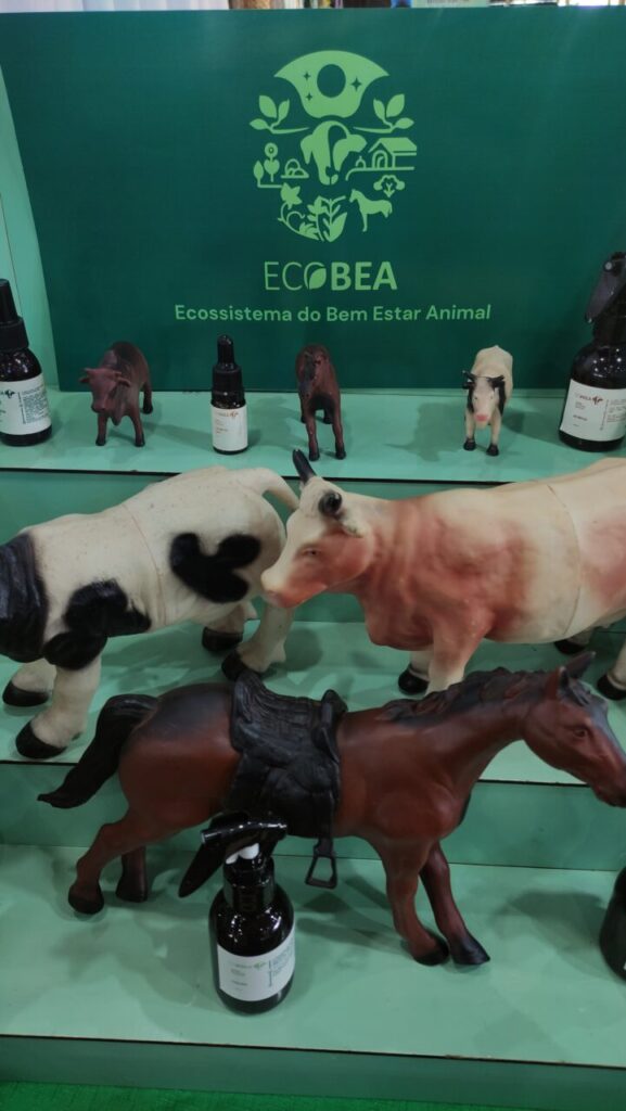 WhatsApp Image 2025-05-12 at 19.49.09