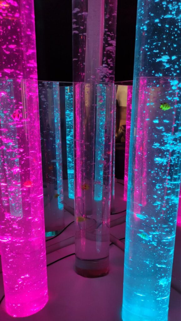 WhatsApp Image 2025-05-13 at 18.52.19