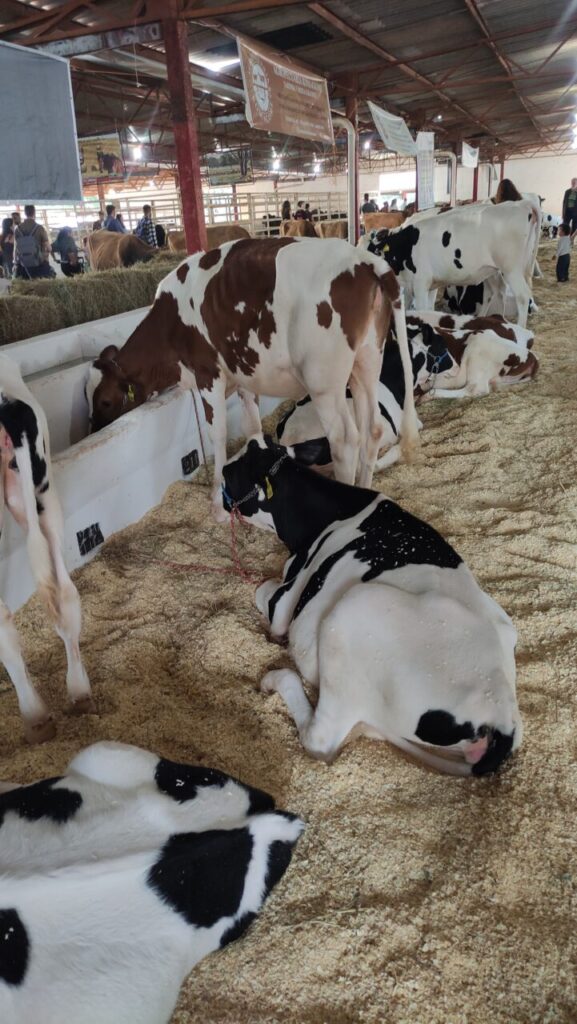 WhatsApp Image 2025-05-13 at 22.06.40