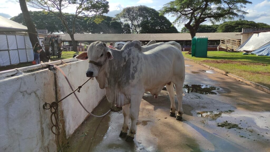 WhatsApp Image 2025-05-13 at 22.06.41 (1)