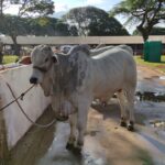 WhatsApp Image 2025-05-13 at 22.06.41 (1)