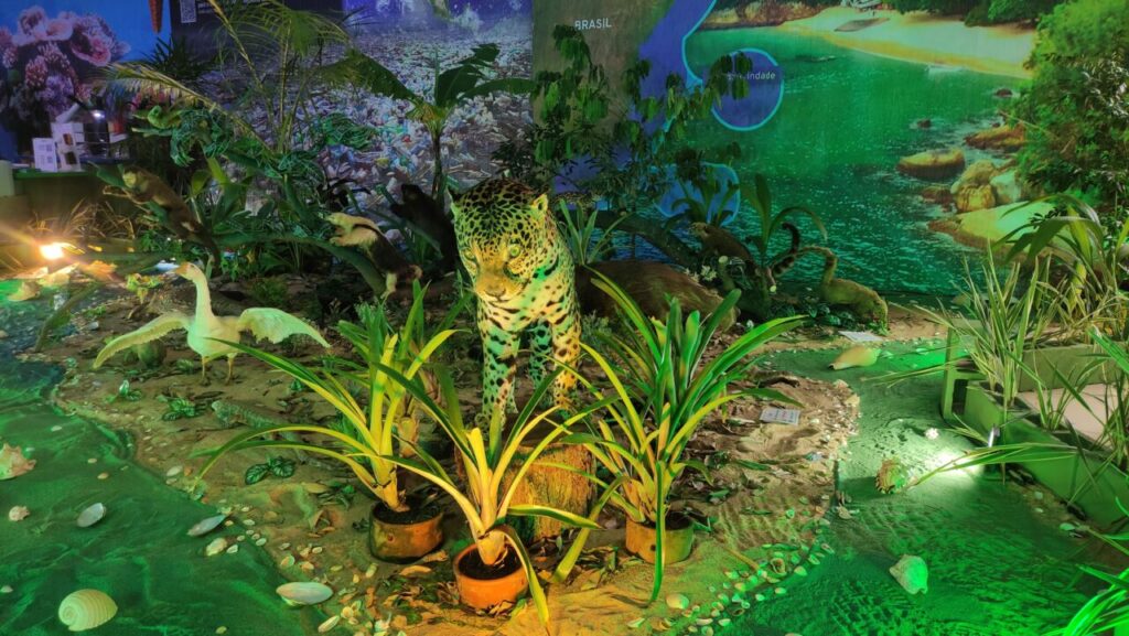 WhatsApp Image 2025-05-14 at 19.06.10