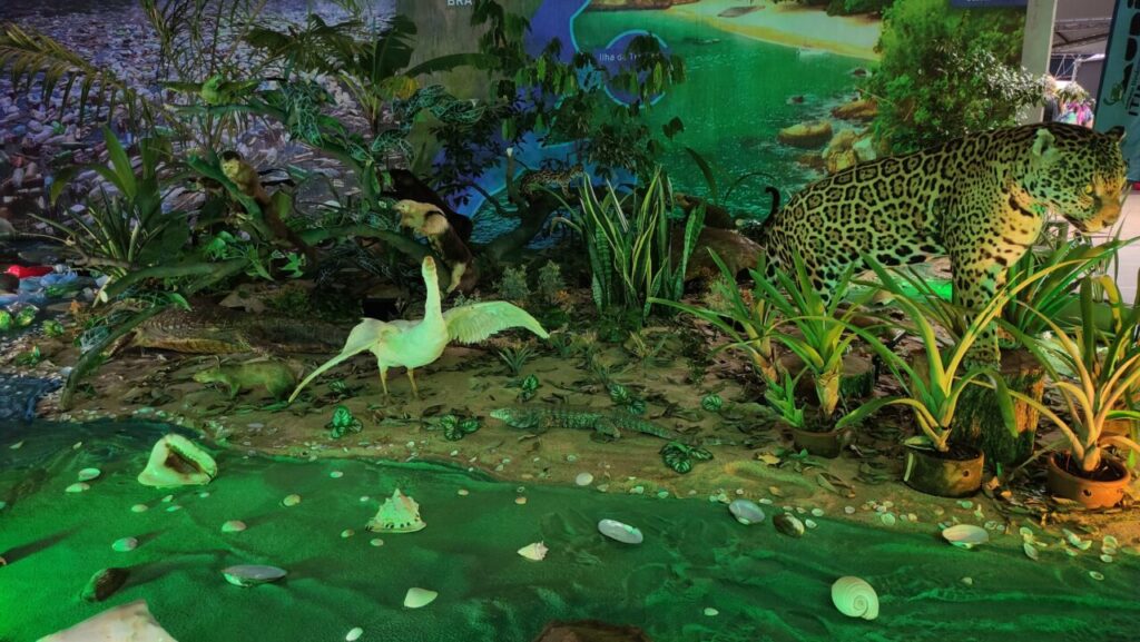 WhatsApp Image 2025-05-14 at 19.06.11