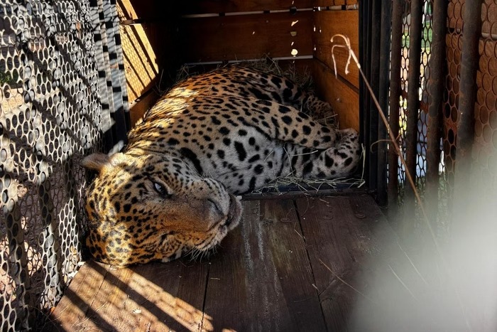 WhatsApp Image 2025-05-19 at 19.45.14