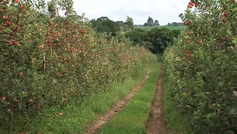 WhatsApp Image 2025-05-29 at 17.39.37