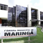 camarademaringa