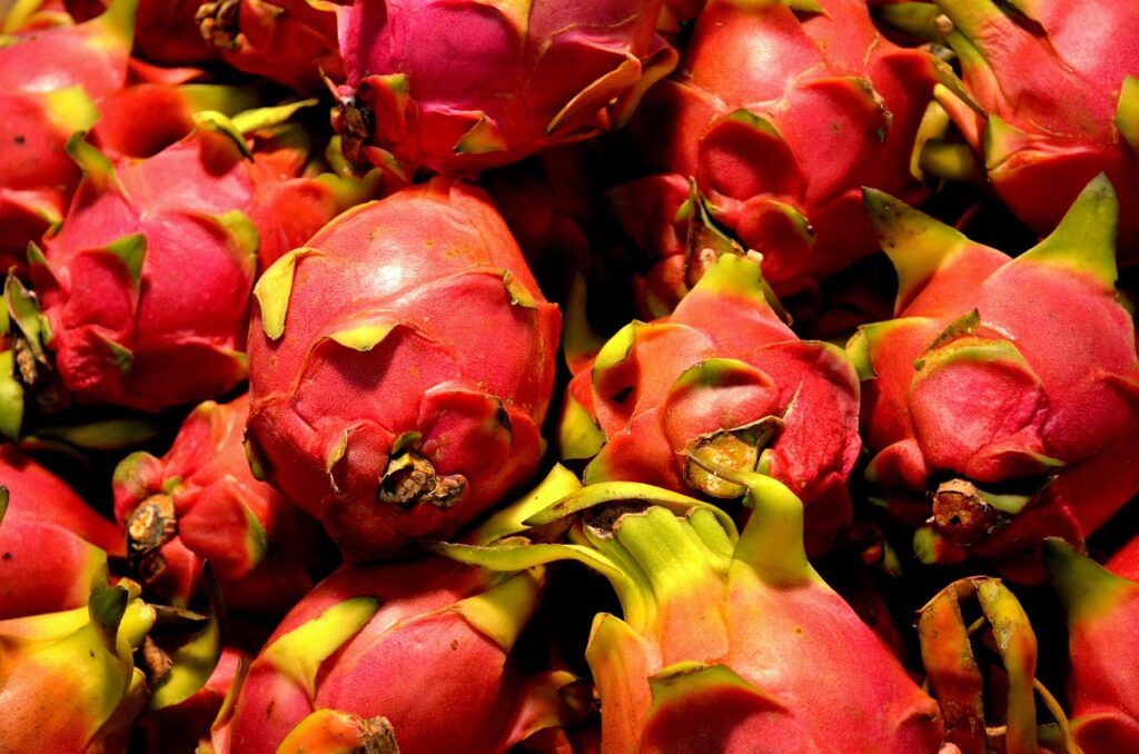 dragon-fruit-84719_1280