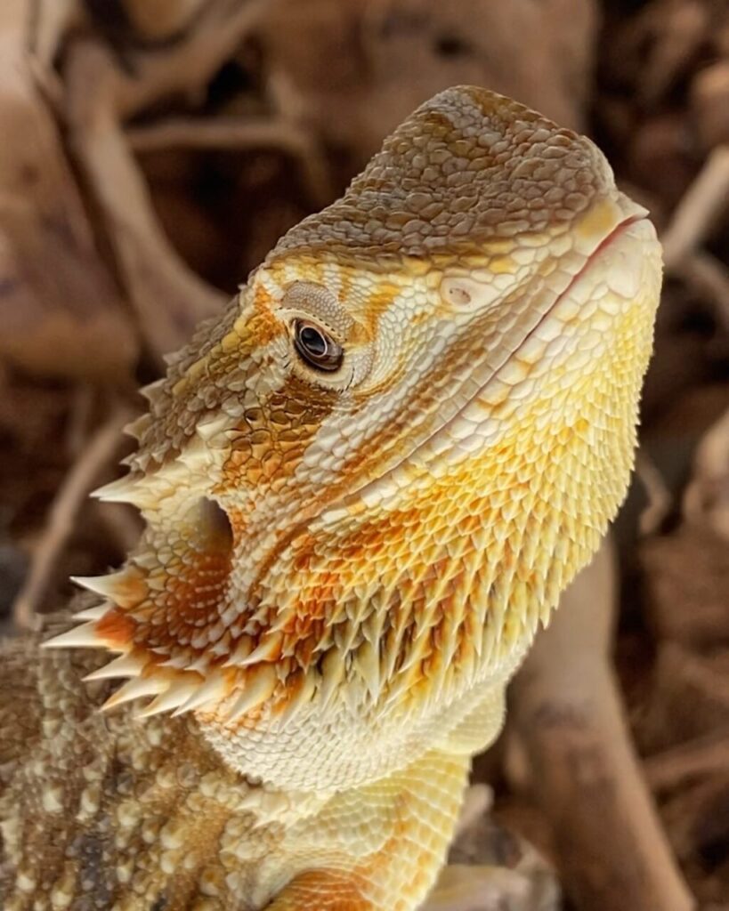 jpmmonteiro_1735825859_3536686102930410484_360809895