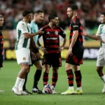 54595415680_7b12569907_k-1068×712