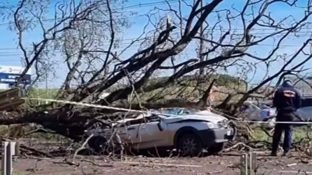 Design sem nome (27)