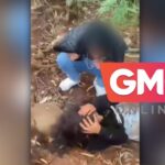 Design sem nome (35)