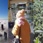 Design sem nome (36)