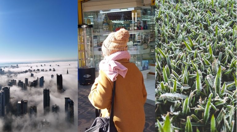 Design sem nome (36)