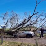 WhatsApp Image 2025-06-12 at 12.27.45