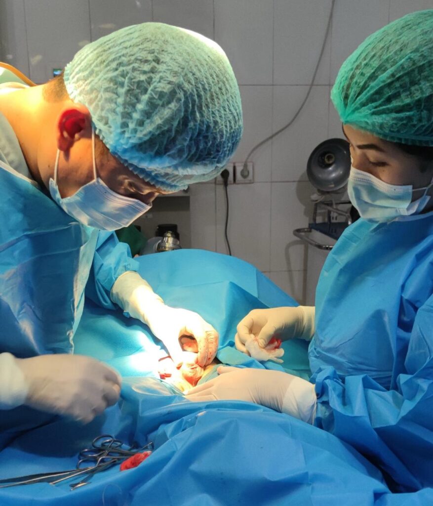 WhatsApp Image 2025-06-19 at 21.39.01