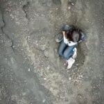 WhatsApp Image 2025-06-21 at 11.50.14