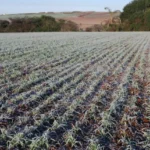 d5fac388-2304-4b70-b51e-91313ecf5044