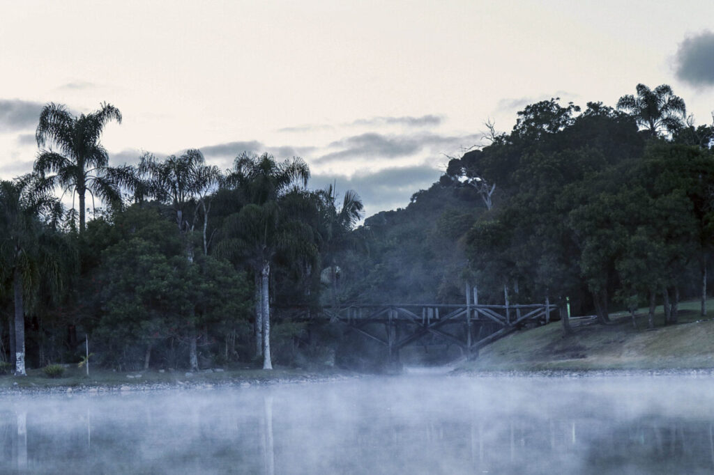 Jardim Botânico. Foto: Ricardo Marajó/SMCS