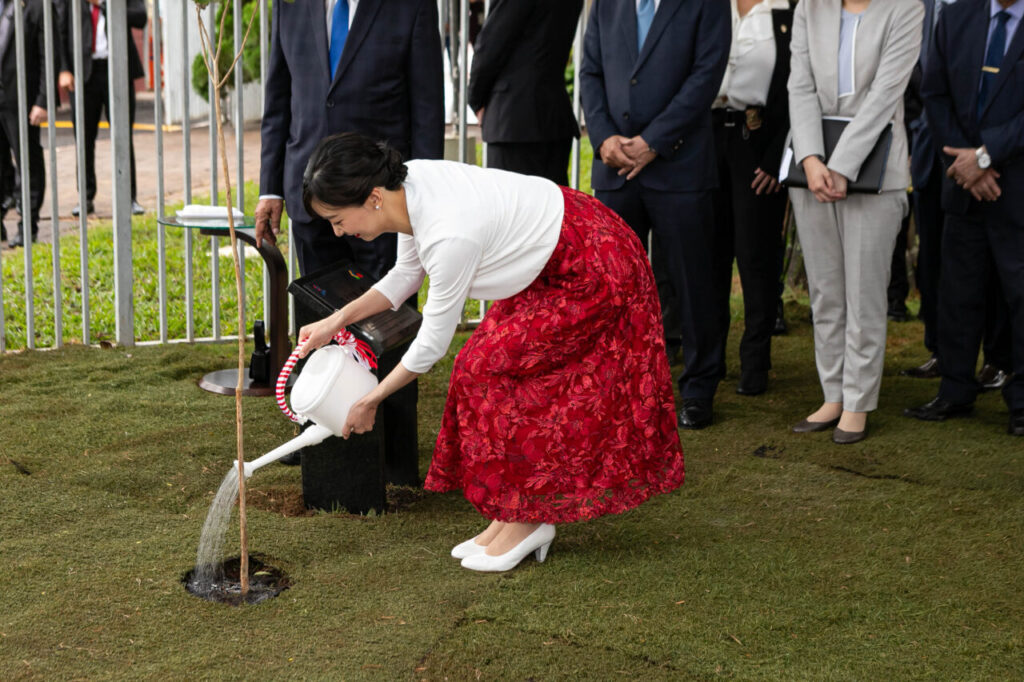 princesa_japao_maringa_foto_rdziura-7340