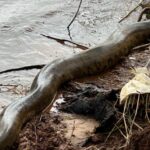 962b286d-0e62-4590-8192-327c06cd37fe