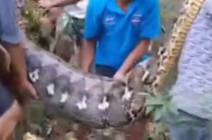 Captura de tela 2025-07-07 092522