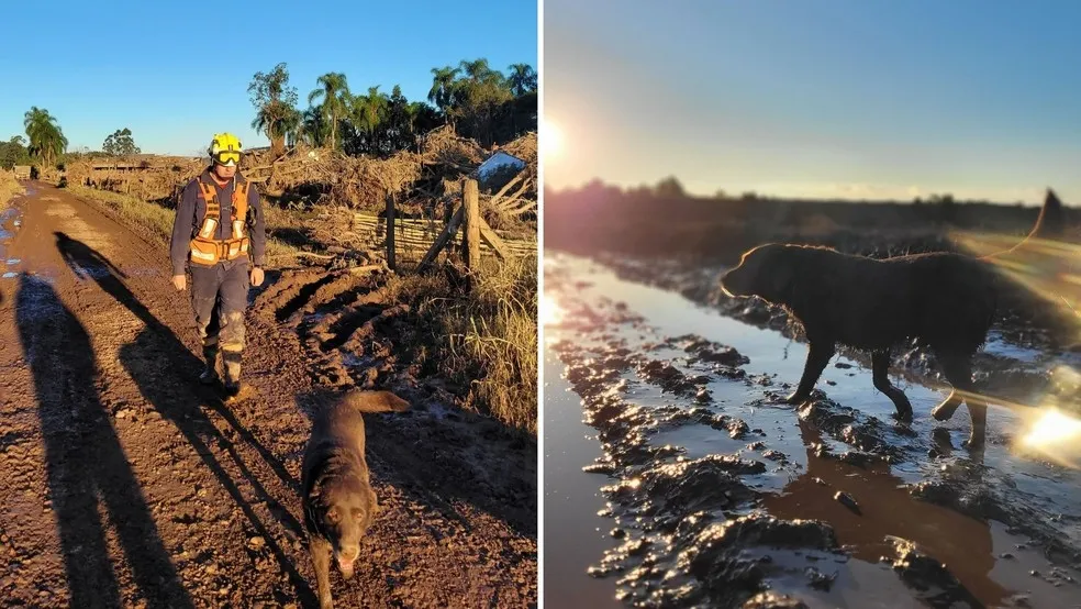 O-1-sargento-Alex-Sandro-Teixeira-Brum-de-47-anos–01009436-0-202507291704-ScaleDownProportional