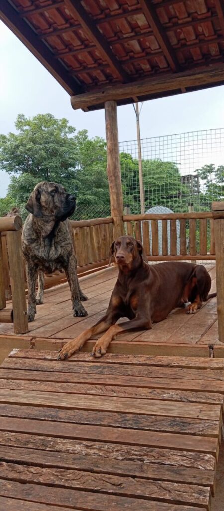 WhatsApp Image 2025-07-04 at 15.59.02