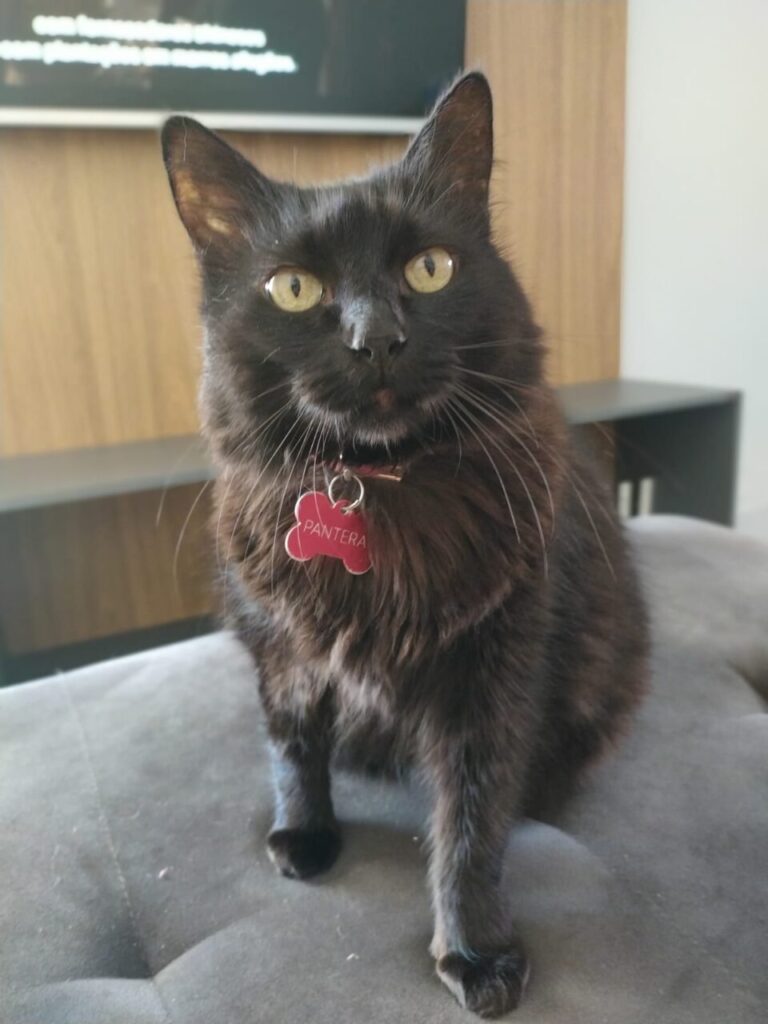 WhatsApp Image 2025-07-04 at 15.59.03