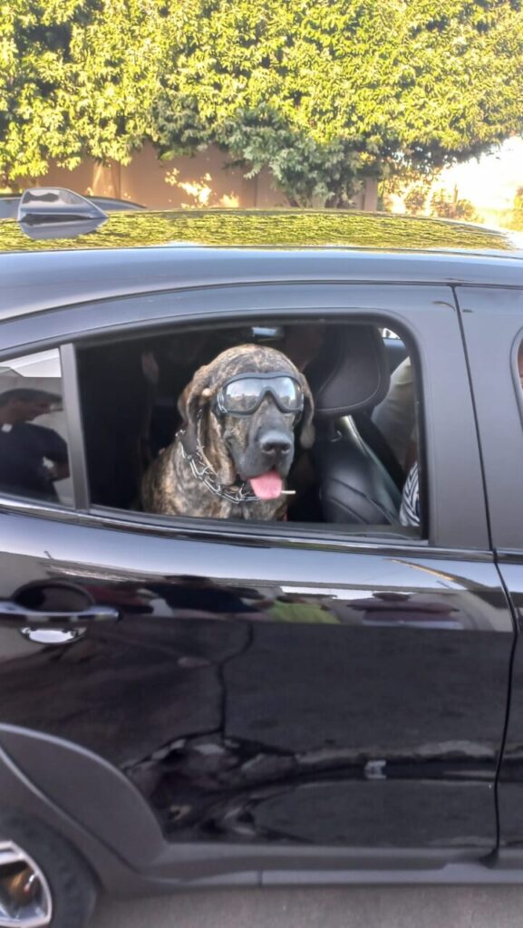 WhatsApp Image 2025-07-04 at 15.59.04