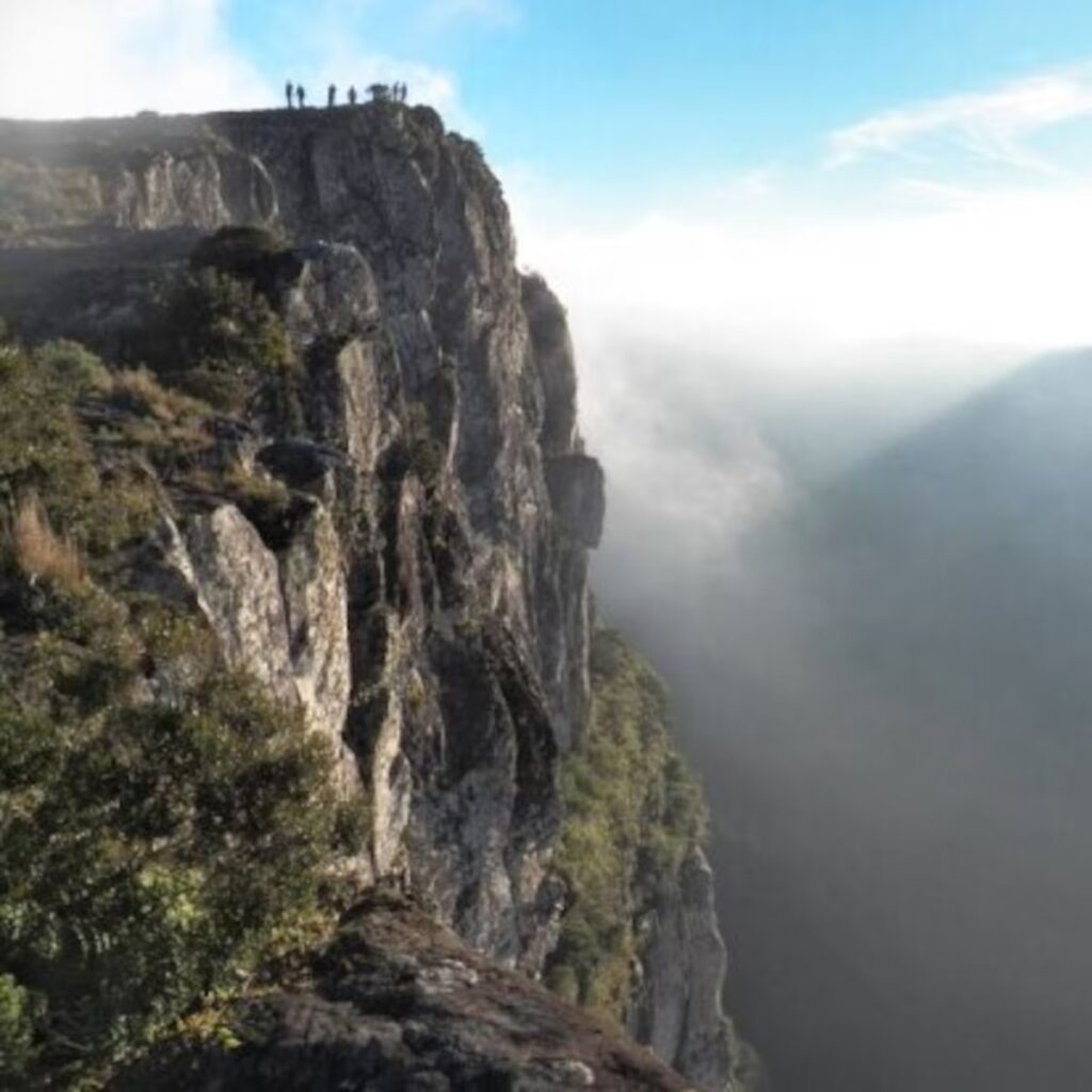 WhatsApp Image 2025-07-10 at 18.18.10