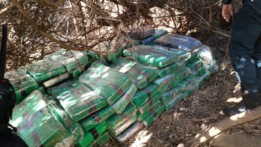 WhatsApp Image 2025-07-17 at 10.33.55