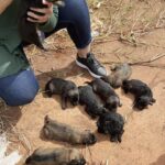 WhatsApp Image 2025-07-21 at 16.28.45