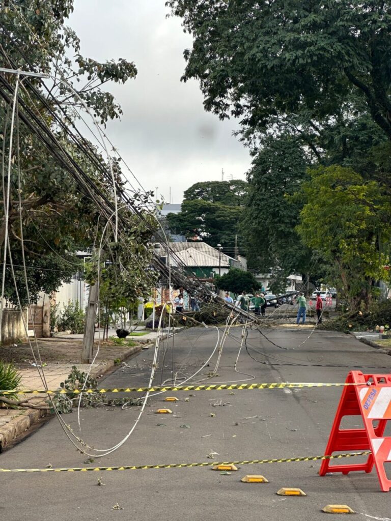 WhatsApp Image 2025-07-28 at 15.11.16 (3)