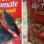 epgzvov29mea3wraa8sxwaoai