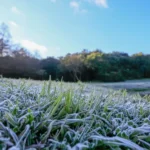 geada-curitiba-970×550