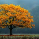 vista-fotorrealista-de-arvore-na-natureza-com-galhos-e-tronco