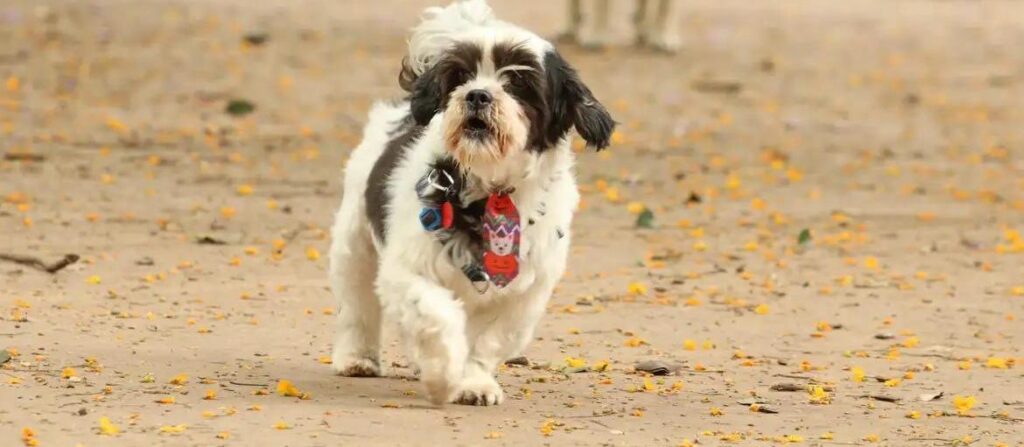 721121a701455200f83c5299721c652a (1)