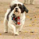 721121a701455200f83c5299721c652a (1)