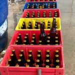 9ce80e55-beeb-4d48-acb5-e11d01a935e4_0