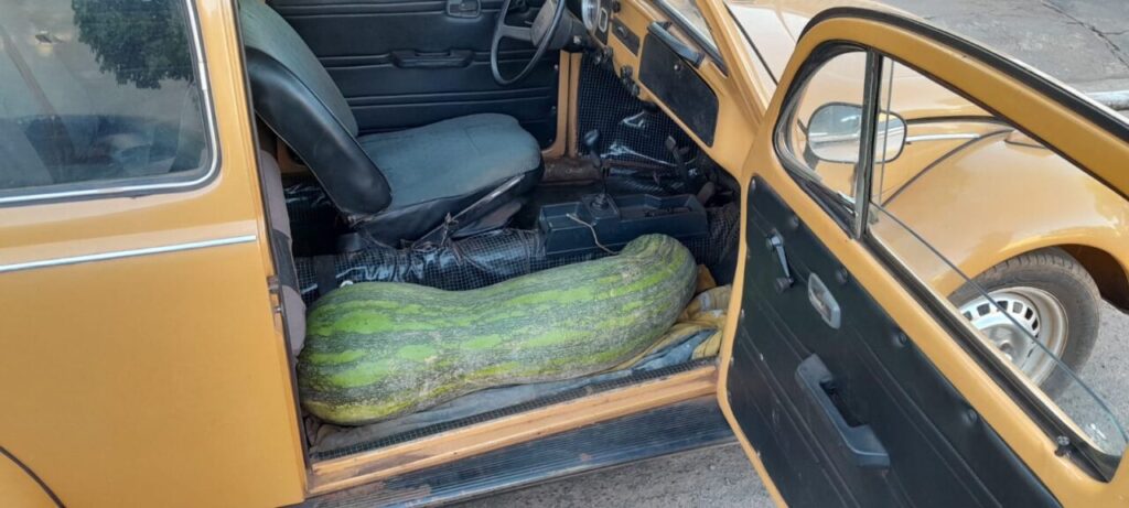 WhatsApp Image 2025-08-02 at 08.25.03 (2)