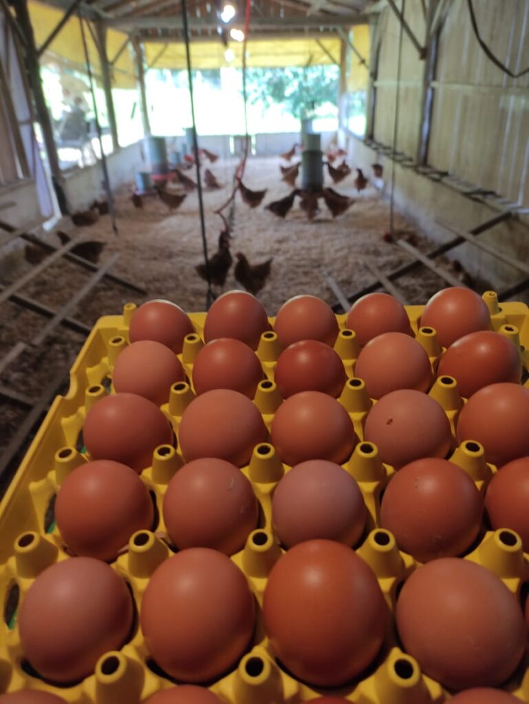 WhatsApp Image 2025-08-05 at 10.19.24 (1)