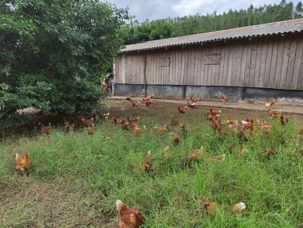 WhatsApp Image 2025-08-05 at 10.19.25