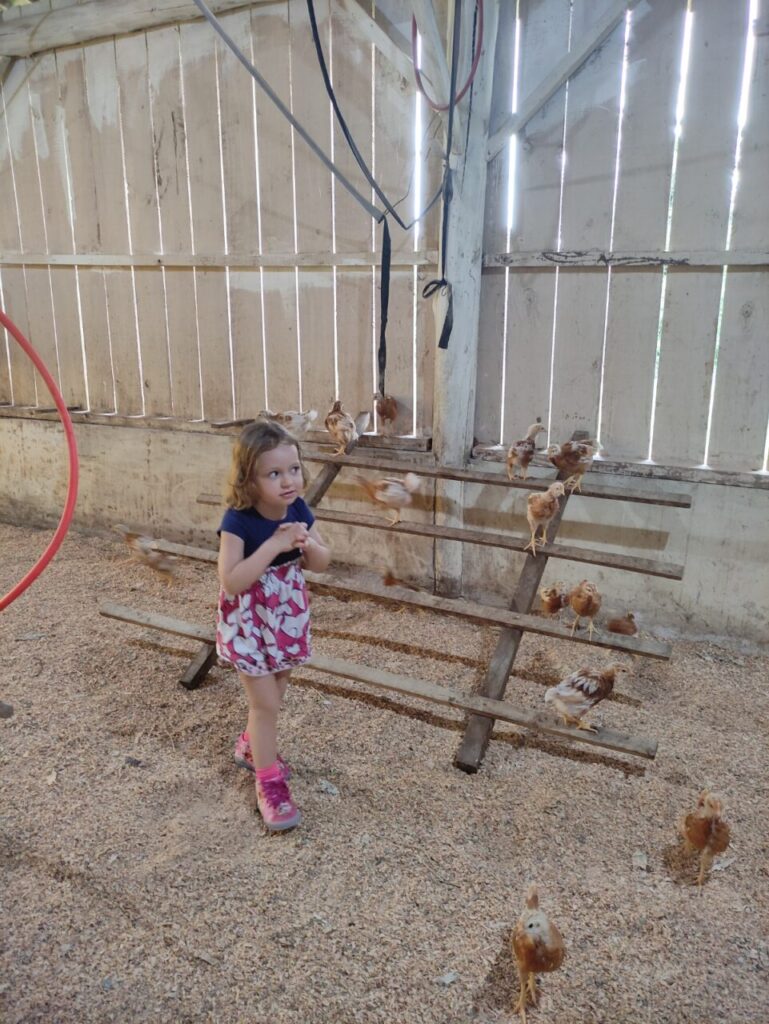 WhatsApp Image 2025-08-05 at 10.59.54